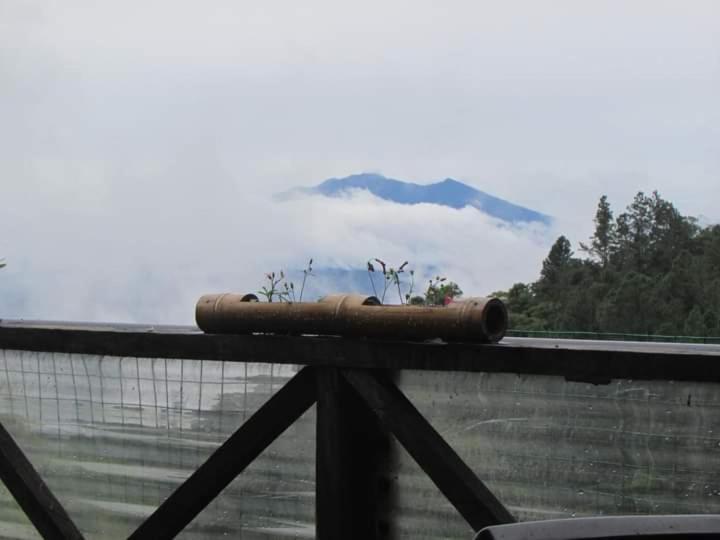 Roots Casa Rustica Hotel Valle Hornito ภายนอก รูปภาพ